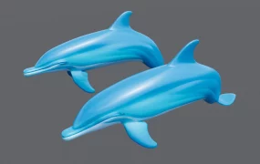Two Dolphins