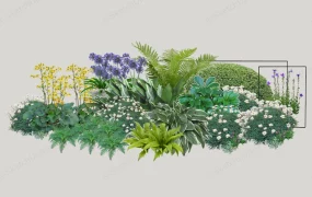Perennial Border Plants