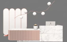 Modern Chic Commercial Reception Area