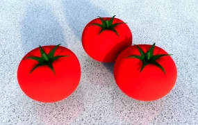 Fresh Tomatoes