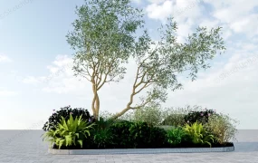 Ornamental Plant Garden Bed