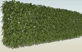 Garden Hedge Wall