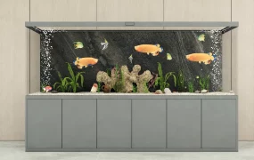 Large Fish Tank Aquarium