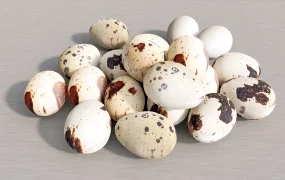 Quail Eggs
