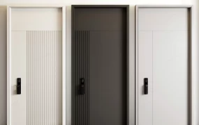 Modern Front Door Ideas