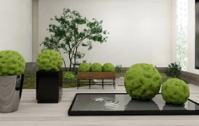 Indoor Topiary Garden
