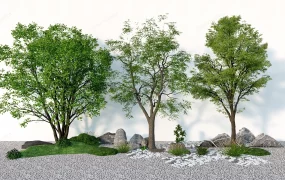 Backyard Landscaping Trees