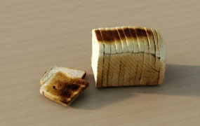 Toasted Bread Slices