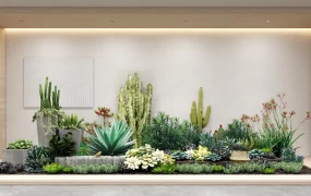 Modern Indoor Desert Garden Installation