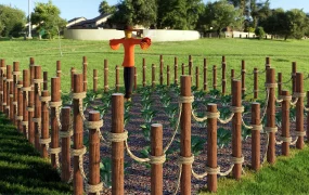 Simple Vegetable Garden