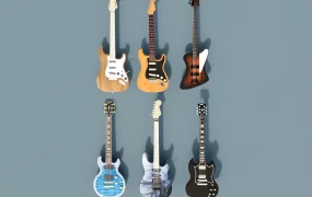 6 Bass Guitars