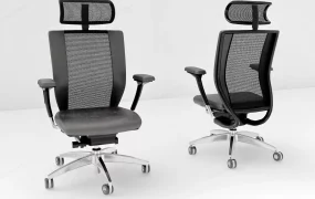 Modern Ergonomic Office Chairs