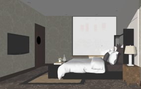Economy Hotel Room Design