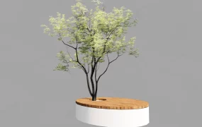 Bench Seat Around Tree