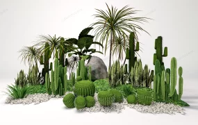 Tropical Cactus Garden