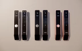 Home Security Smart Locks
