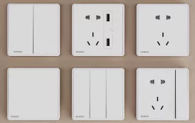 Electrical Switches And Sockets
