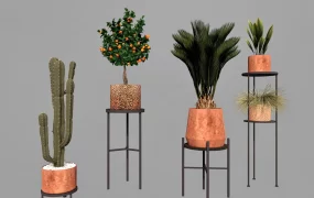 Houseplants With Stands