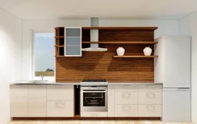 Tiny One Wall Kitchen Idea