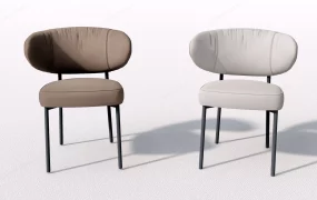 Elegant Dining Chairs