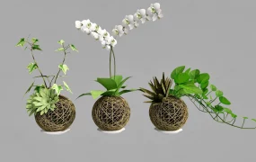 Handcrafted Bamboo Planter