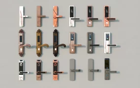 Electronic Door Locks