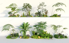 Ornamental Garden Plants