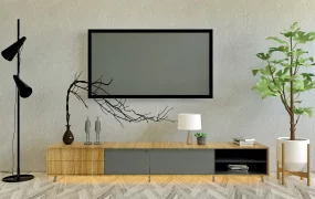 Modern Minimalist TV Stand