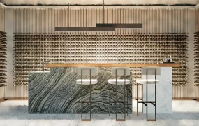 Modern Home Bar Design