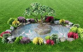Small Garden Fish Pond