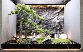 Indoor Japanese Zen Garden Courtyard