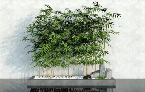 Bamboo Garden Design Idea