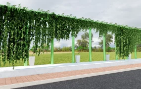 Outdoor Green Wall Ideas