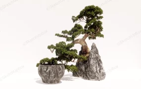 Rock Bonsai Tree