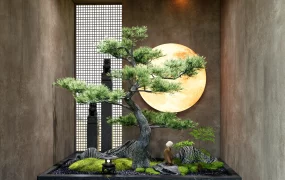 Indoor Zen Micro Landscape Display