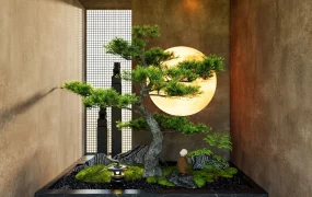 Amazing Indoor Zen Garden
