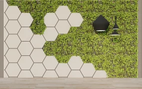 Indoor Living Wall Design