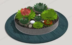 Potted Succulent Garden
