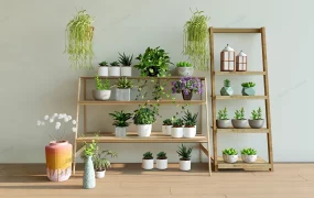 Small Houseplants On Stand