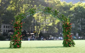 Wedding Arch Idea