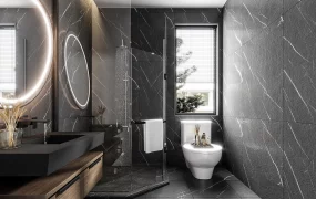 Modern Luxury Dark Bathroom
