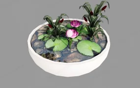 Water Bowl Pond