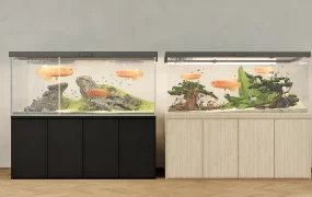 Home Aquarium Aquascape Ideas