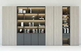 Modern Bookcase Cabinet