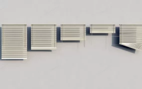 Venetian Window Blinds