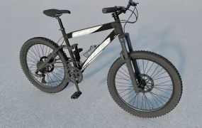 Black Mountain Bike