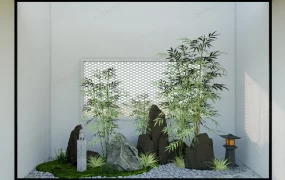 Indoor Bamboo Garden