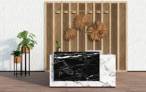 Small Salon Reception Desk