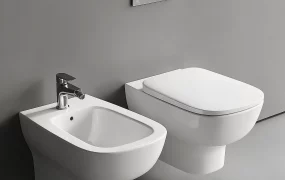 Wall Hung Toilet And Bidet