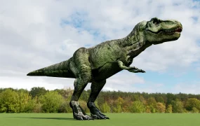 T Rex Dinosaur